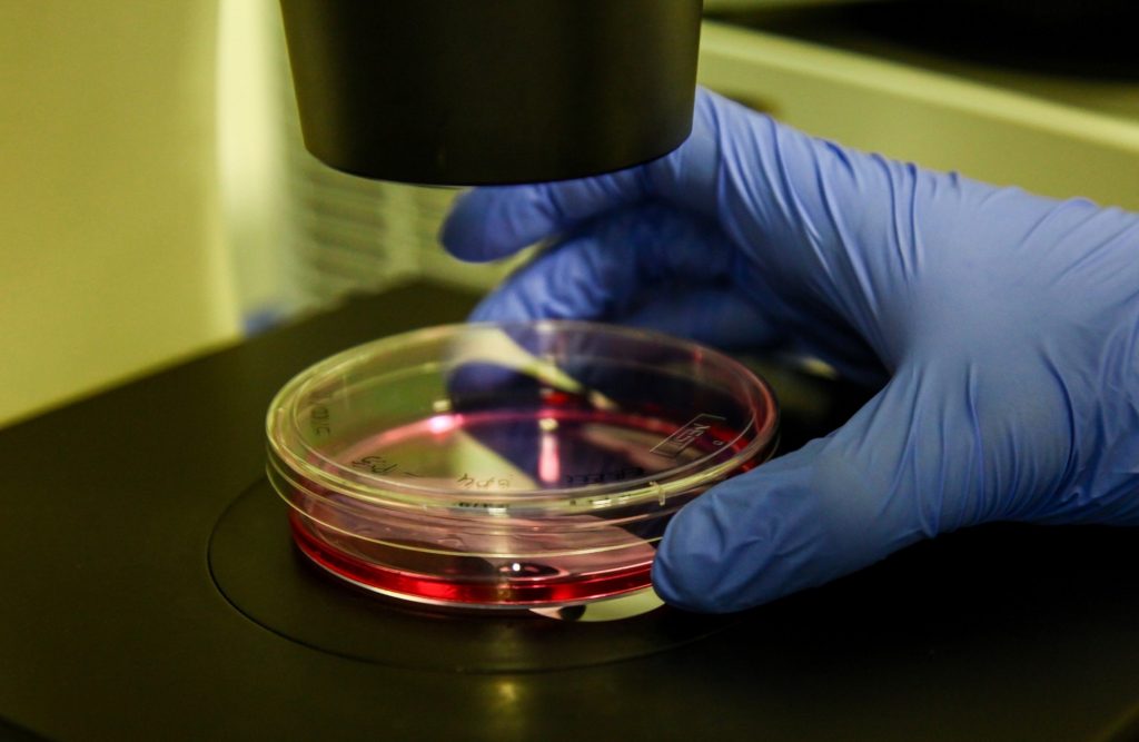 SUNUM | Hücre Kültürü Laboratuvarı