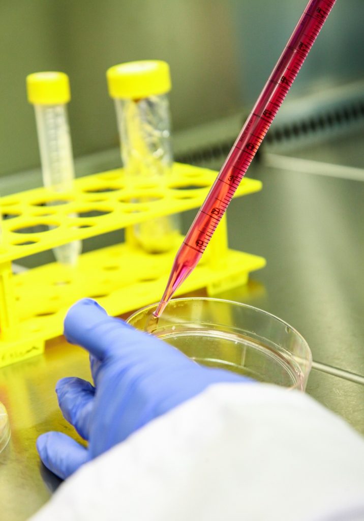 SUNUM | Hücre Kültürü Laboratuvarı