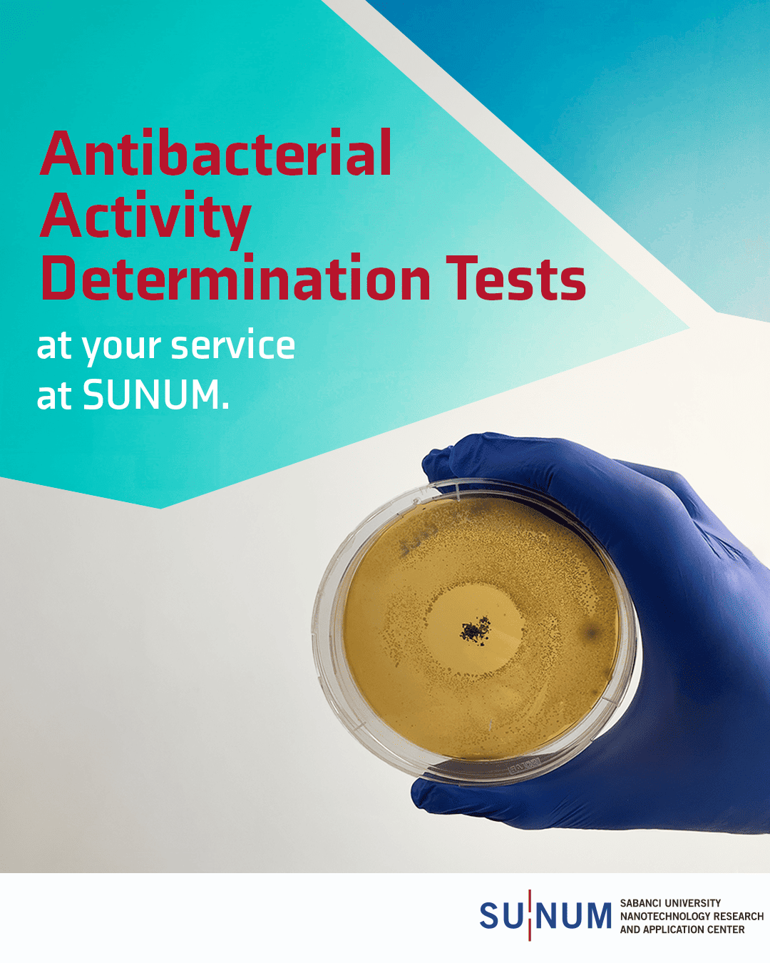 Antibacterial Activity Determination Tests at your service at SUNUM