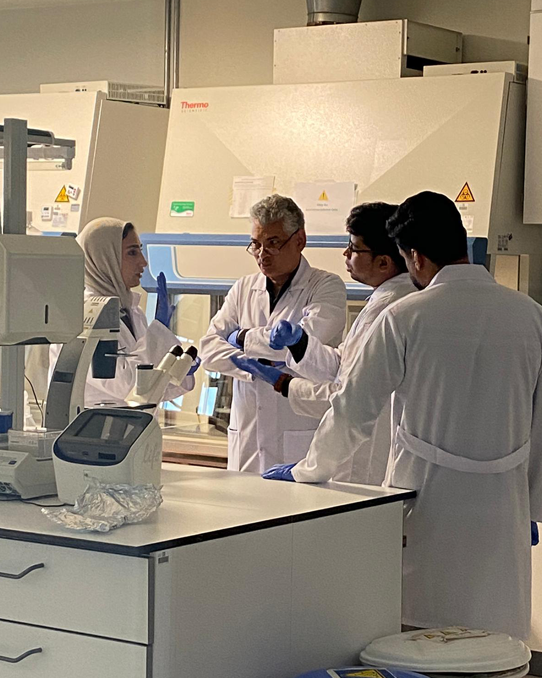 Sunum | Squares from us.